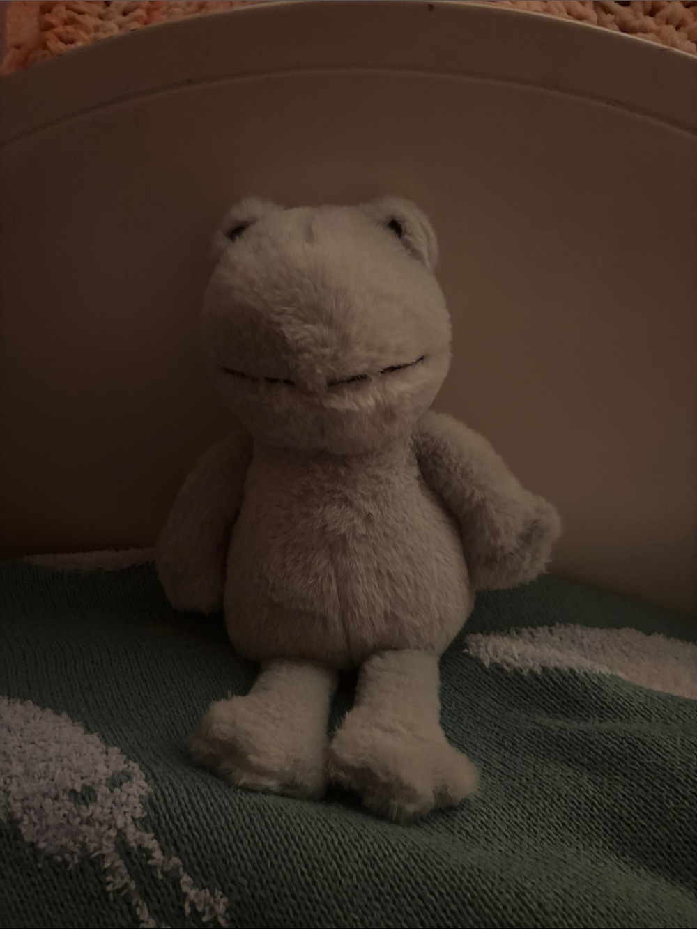 Snug Plush Frog Stuffy - Light Green